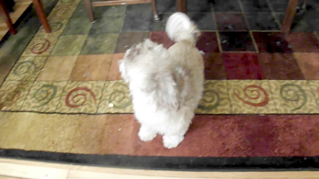 Video thumbnail showing: \