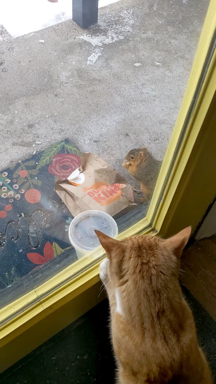 Video thumbnail showing: \