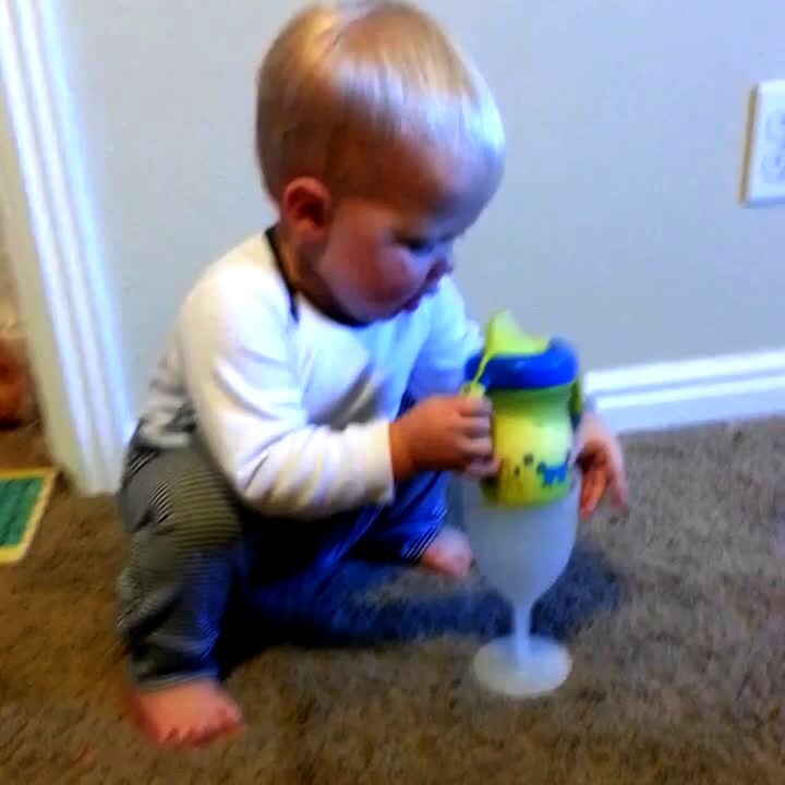 Video thumbnail showing: A tot boy puts his sippy cup into a plastic wine cup before he takes a sip indoors. Vine/instagram